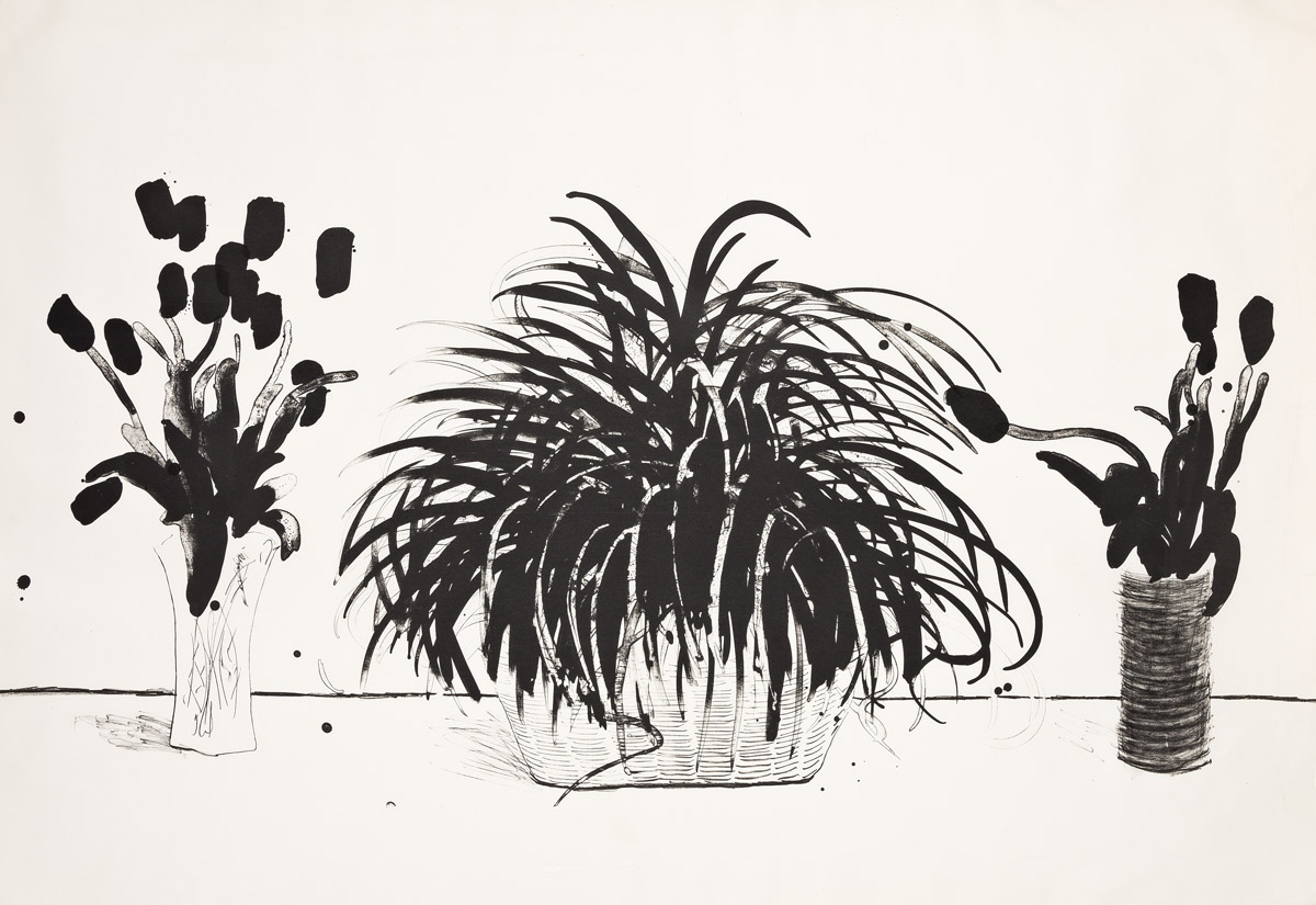DAVID HOCKNEY Two Vases of Cut Flowers and a Liriope Plant.